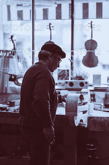 Senior expert luthier artisan violin maker carve sculpt chisel ribs of a new classical model cello in workshop Cremona Italy