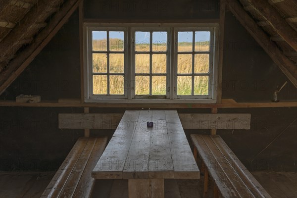 In a fisherman's cottage on the former shipping channel to Ringkobingfjord