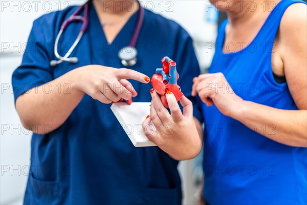 Cardiologist using a plastic heart model to talk to a patient in the hospital