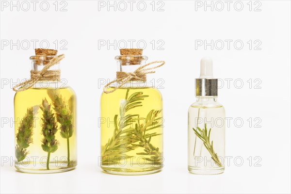 Bottle and dropper with rosemary and lavender essential oil with fresh branches inside isolated on white background and copy space