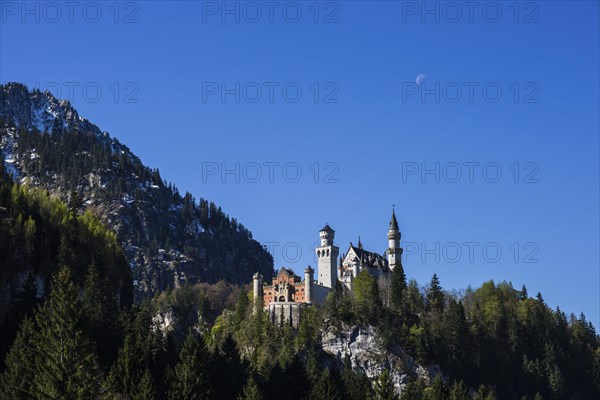 Neuschwanstein Castle