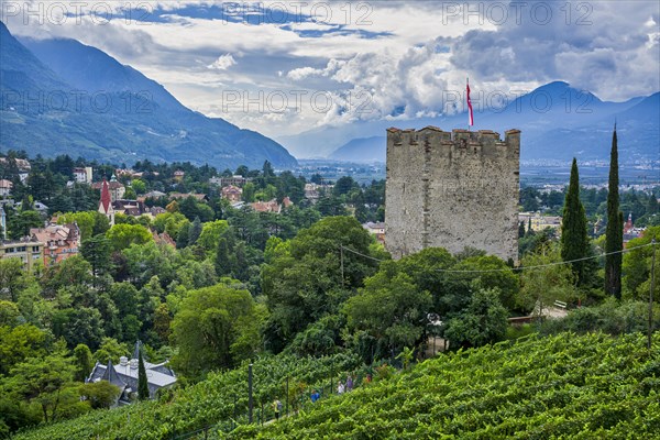 Powder tower of the Ortenstein castle ruins