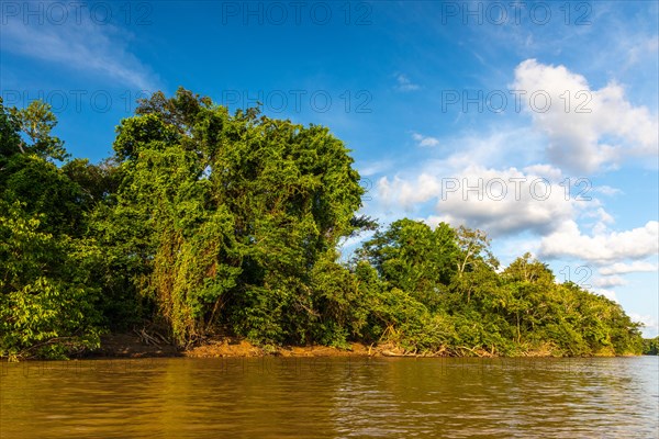 Rio Guayabero