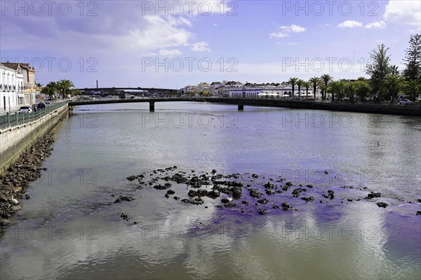 Harbour of Tavira