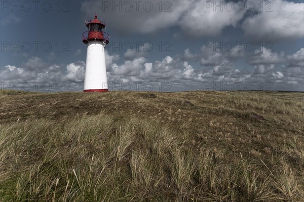 Lighthouse at Ellenbogen