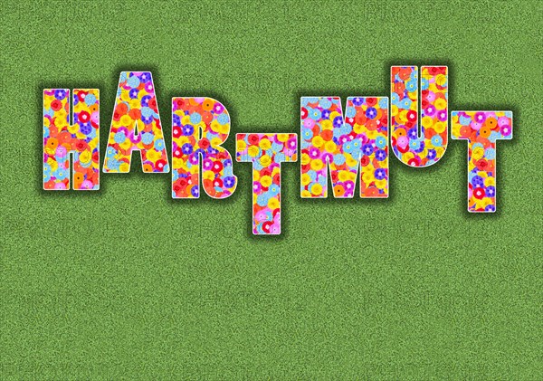 Last name Hartmut First name Written with flower pattern