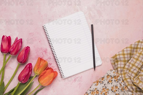 Frame notebook with tulips shawls