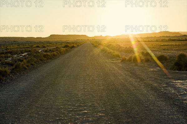 Road in the semi-desert