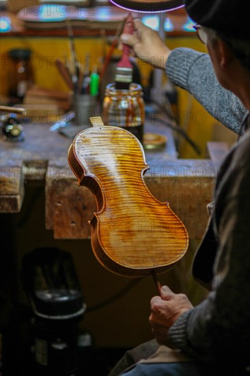 Senior expert violin maker luthier varnish with brush classic handmade violin paint natural ingredient recipe in Cremona Italy home of best artisan of this kind