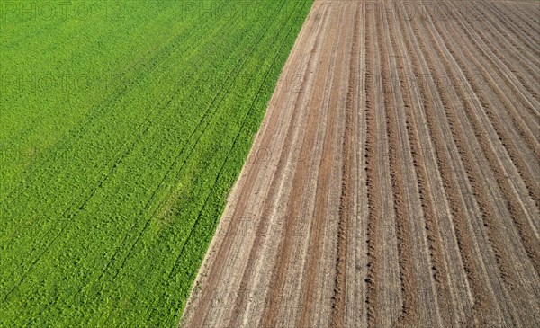 Drone view of green and harvested fields