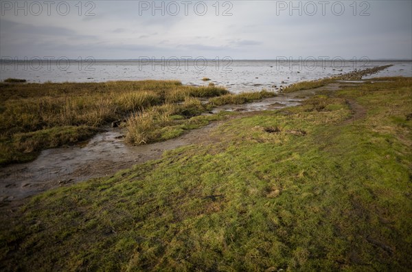 Mudflats at low tide