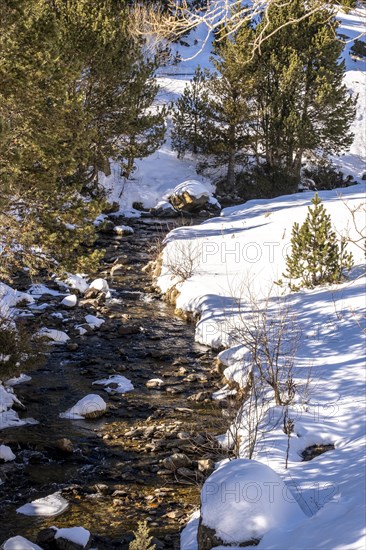 Winter landscape with snow in the snowy mountains of the Pyrenees of Andorra