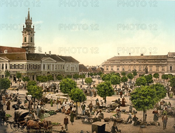 Main square and market of Grosswardein