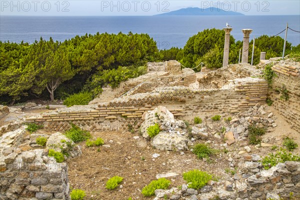 Antique Villa Romana with view of Giglio Island