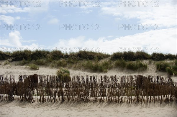 Dune landscape at Ellenbogen