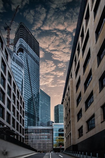 Cityscape on the Main with the skyline in the evening