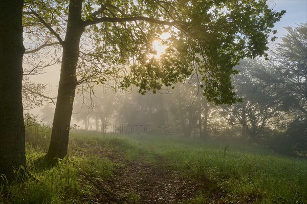 Hiking trail