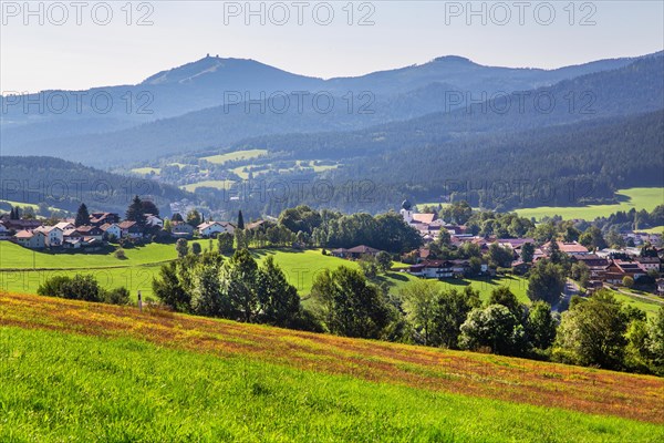 View of the village with the Grosser Arber 1456m