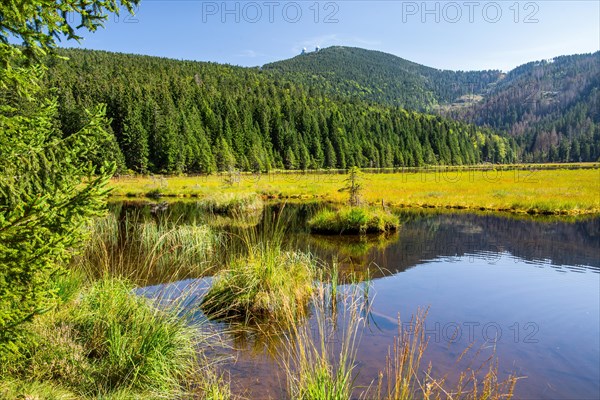 Nature reserve Kleiner Arbersee with floating islands and Grosser Arber 1456m