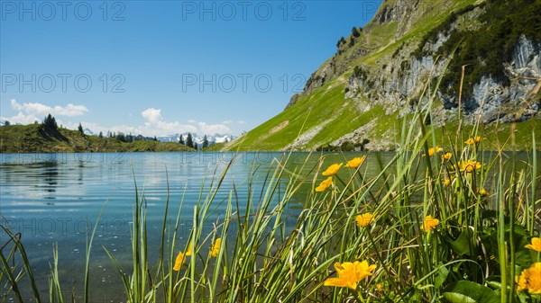 Seealpsee