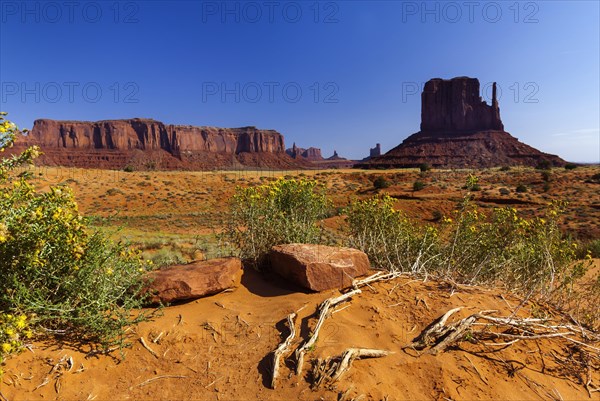 Landscape in Monument valley