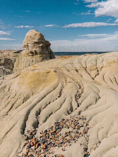 Petrified Forest Sarmiento