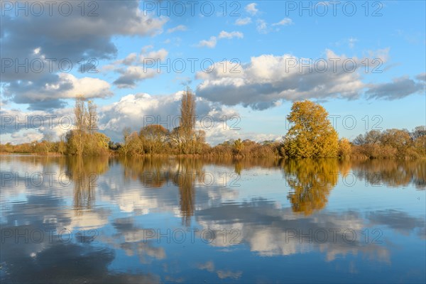 Flooded meadow after heavy rains. Autumn landscape. Bas-Rhin