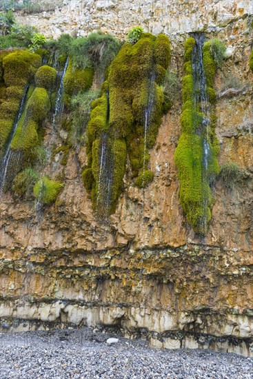 The weeping rock