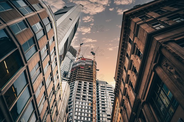 Cityscape on the Main with the skyline in the evening