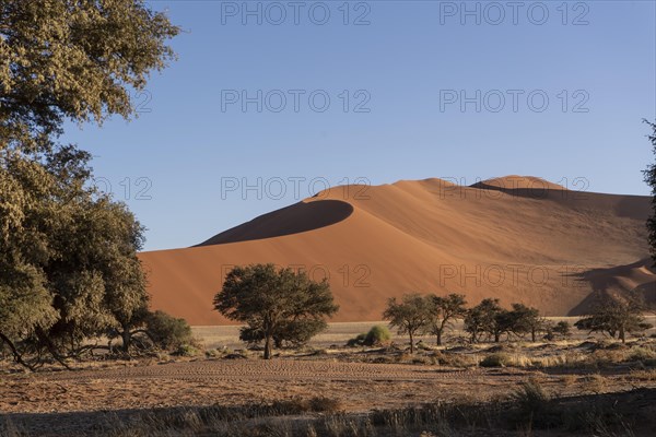 Dunes in Sossusvlei