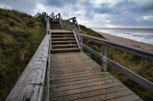 Boardwalk