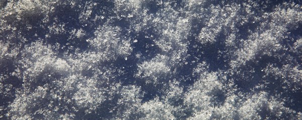 Snow cover with ice crystals on a snow-covered meadow