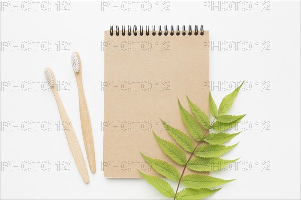 Notebook with tooth brush