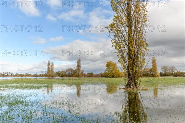 Flooded meadow after heavy rains. Autumn landscape. Bas-Rhin