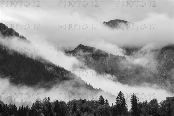 Wisps of mist at Koenigssee