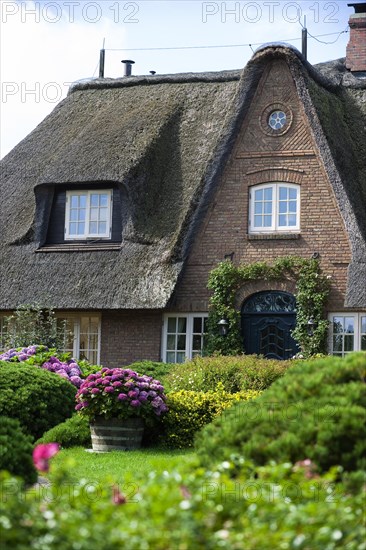 Thatched houses