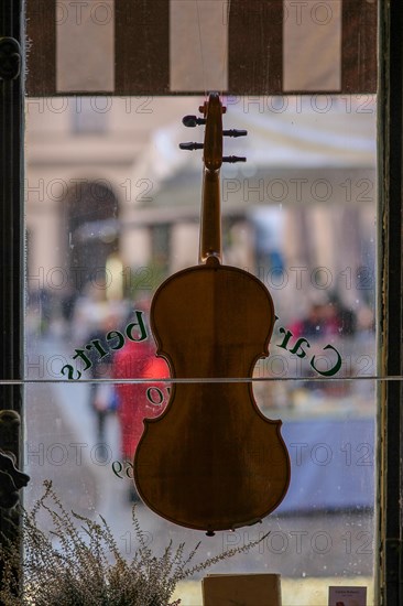 Violin maker luthier artisan workshop in Cremona