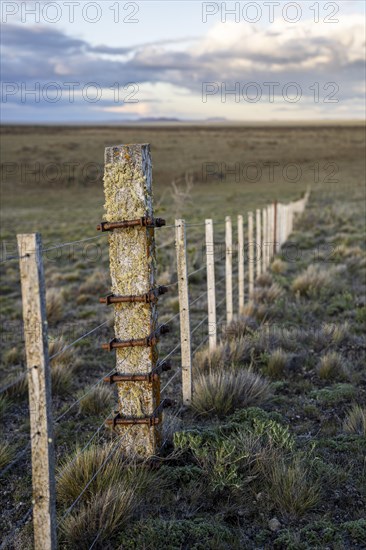Pasture fence