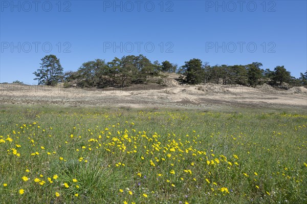 Inland dunes