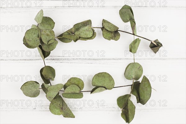 Frame made with dry leaves white wooden backdrop