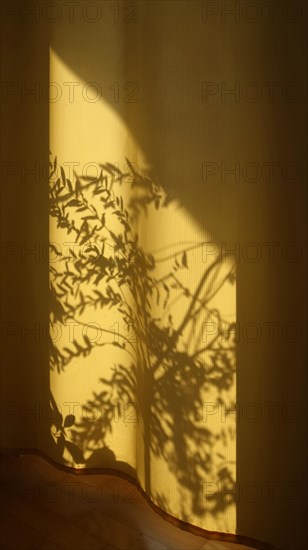 Shade of a balcony plant on a yellow curtain in the living room