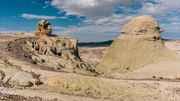 Petrified Forest Sarmiento