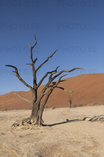 Dunes in Deadvlei