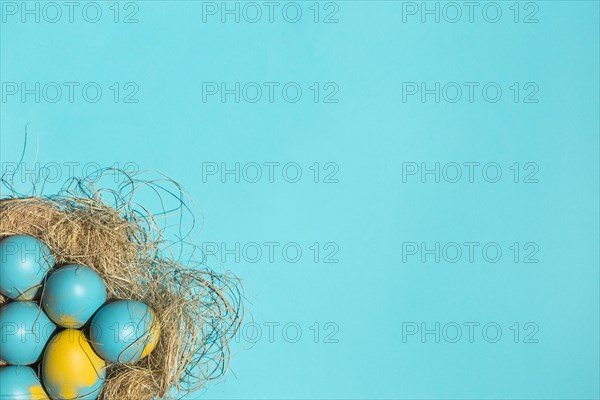 Colourful easter eggs big nest blue table