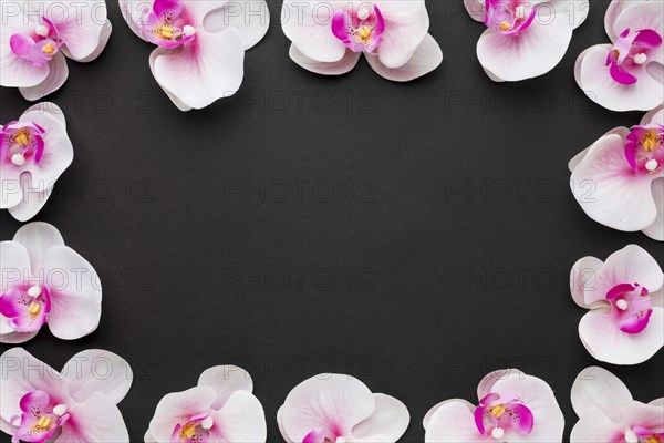 Flat lay orchids frame