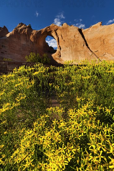 Window rock