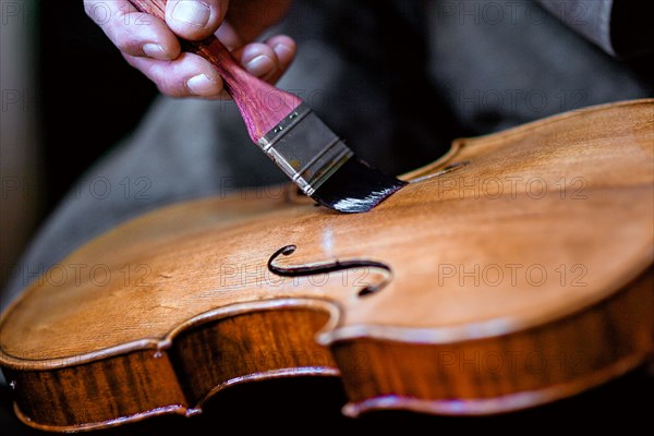 Senior expert violin maker luthier