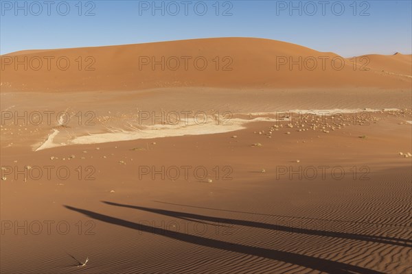 Dunes in Sossusvlei