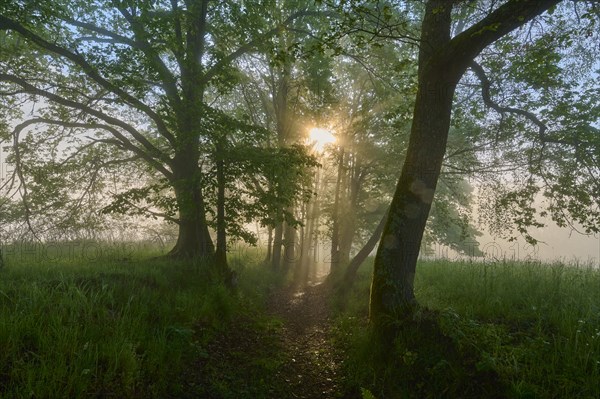 Hiking trail