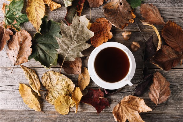 Cup coffee leaves